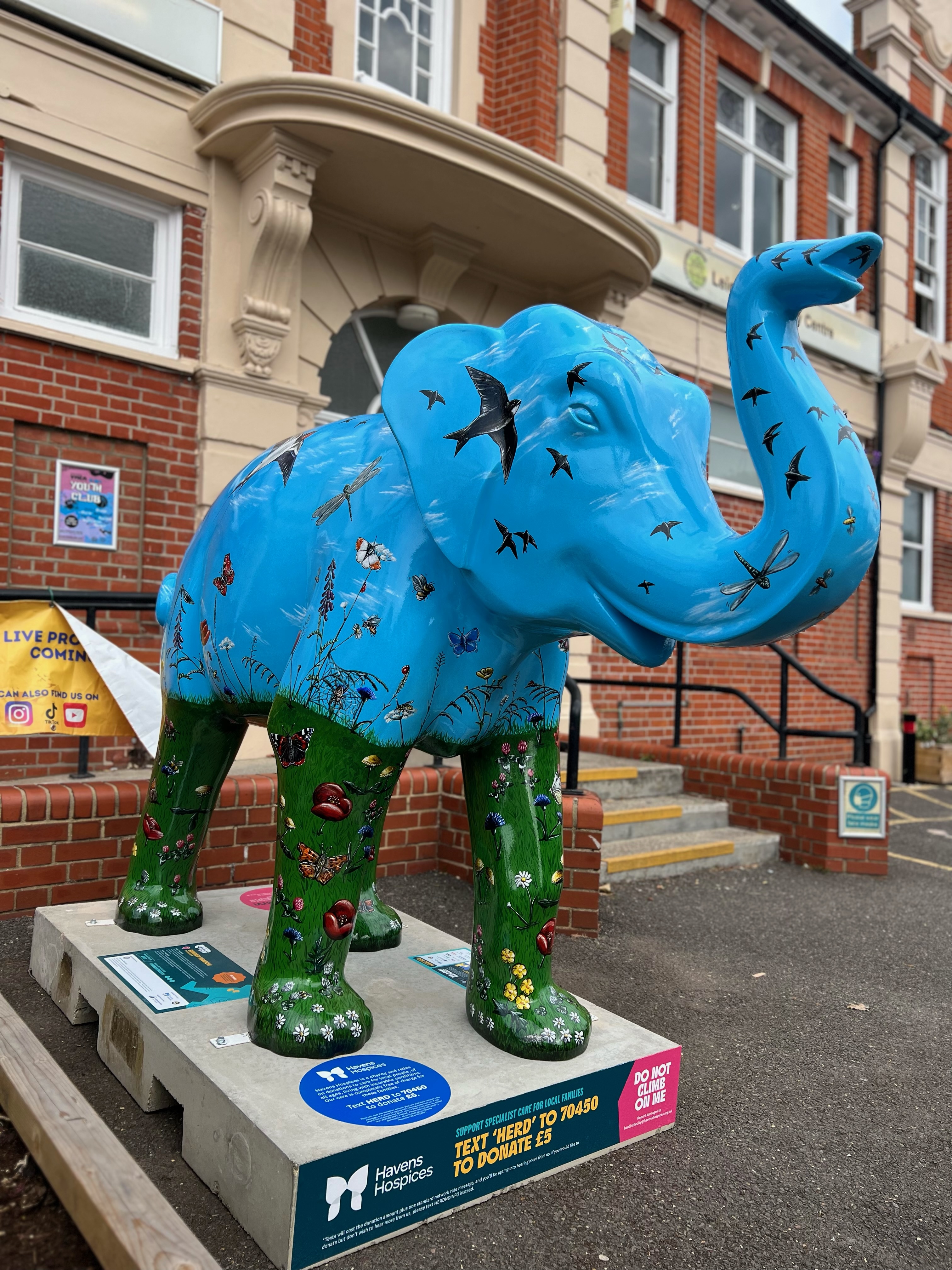 Picture of 'Summer Meadow' elephant by Leigh Community Centre